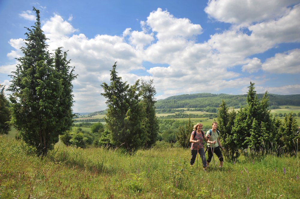 Ibengarten Rhön GmbH